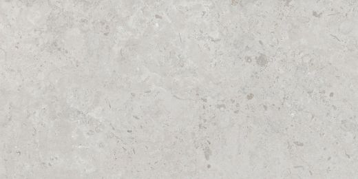 Billede af Limestone Light 296x595 mm